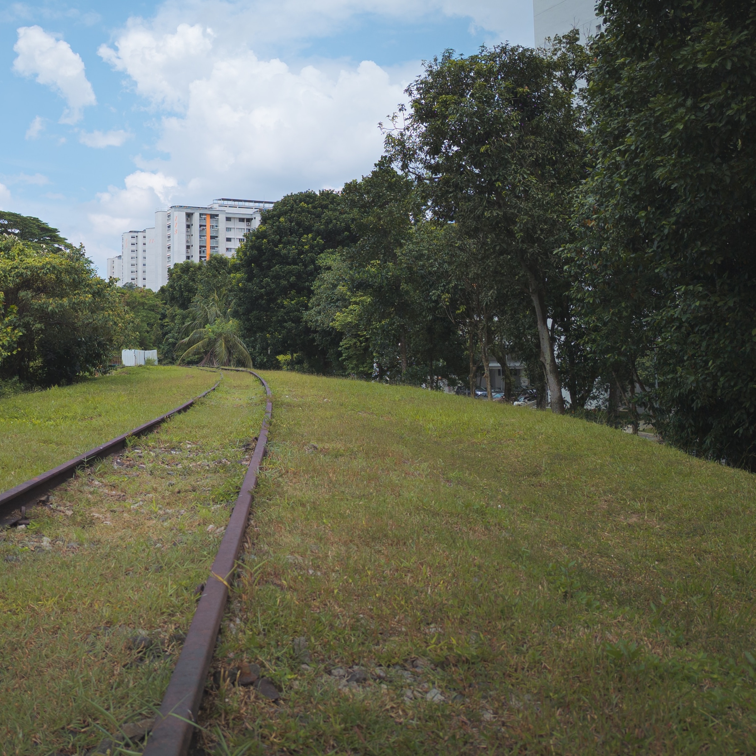 Clementi Avenue 1 GLS Tender Open